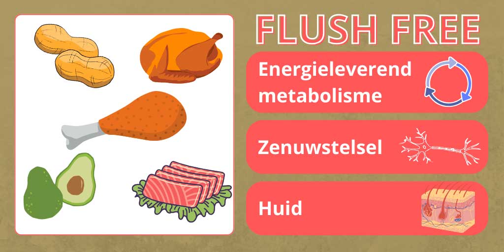 USPs Vitamine B3, energieleverend, ondersteunt zenuwstelsel, flush free
